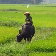 Ženy v ráji - střední a jižní VIETNAM - 2. fotka