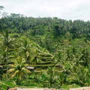 Vánoční lenošení na BALI - 5. fotka