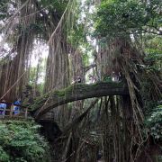 Vánoční lenošení na BALI - 3. fotka