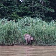 Aktivní BORNEO s jógou - 4. fotka