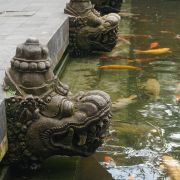 BALI srdcem - 5. fotka
