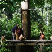 Aktivní BORNEO s jógou - 8. fotka