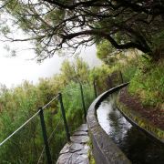 MADEIRA se seminářem  - Ajurvédská praxe, masáže a meditace - 11. fotka