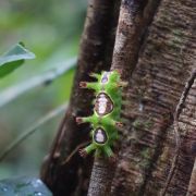 Aktivní BORNEO s jógou - 2. fotka